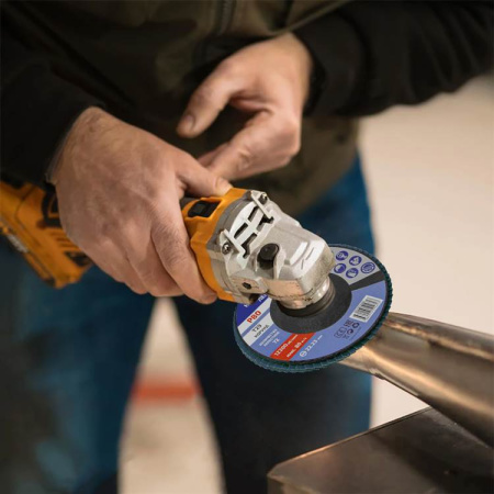 Круг шлифовальный лепестковый комплект МЕГЕОН 61009-10 купить по низкой цене | МАКСПРОФИТ